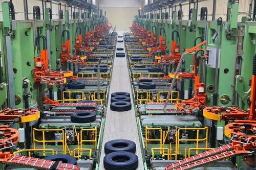 青島發布網絡技術服務新金花培育名單，誰將成為未來的五朵金花？