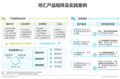 2022年中國跨境電商SaaS行業風險管理咨詢研究報告
